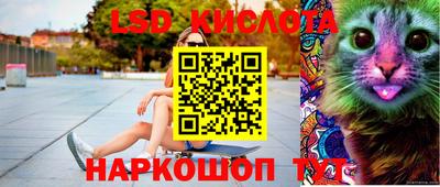 мяу мяу мука Будённовск
