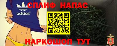 дурь Кудрово