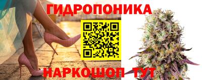 гашик Бузулук