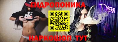 гашик Бузулук