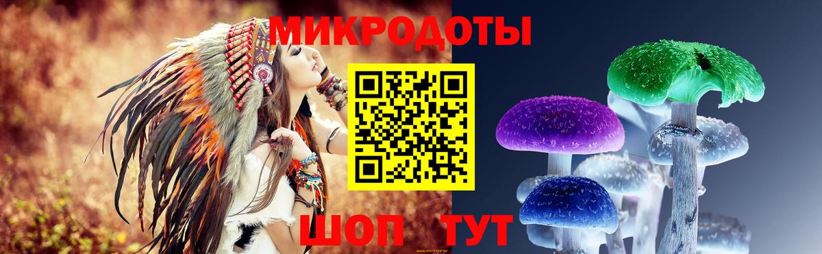 Кстово  Псилоцибиновые грибы Psilocybine cubensis  Галлюциногенные грибы прущие грибы  Вход с VPN 